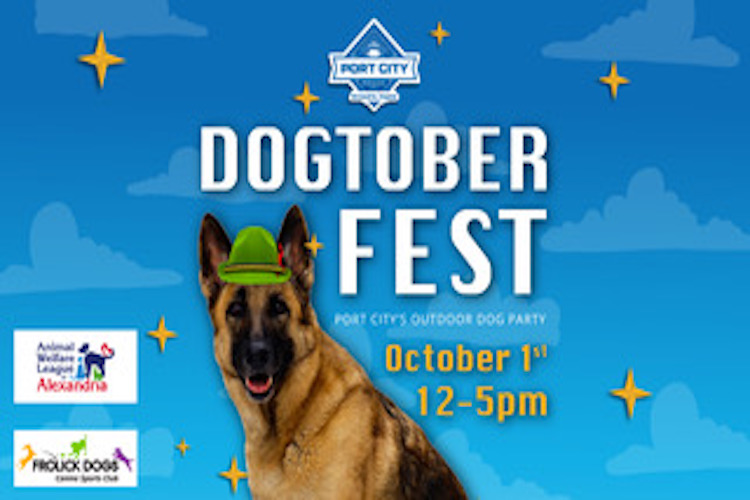 The List Are You On It Port City Brewing's Annual Dogtober Fest