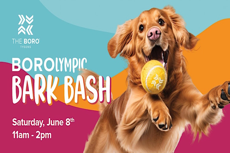 The List Are You On It BorOlympic Bark Bash at The Boro